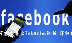 如何安全导出Tokenim私钥：详细指南