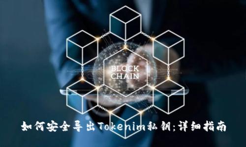 如何安全导出Tokenim私钥：详细指南