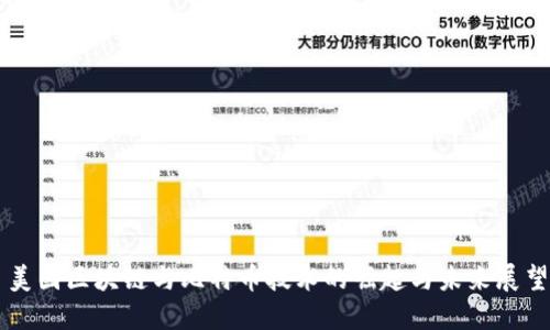 美国区块链与比特币技术的崛起与未来展望