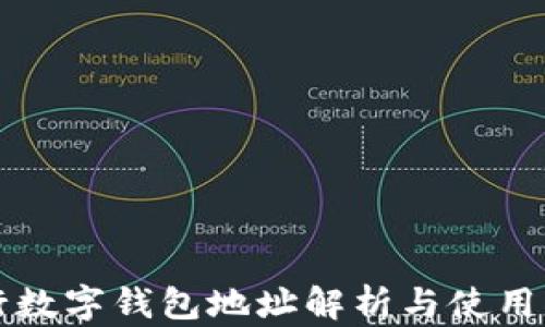 
央行数字钱包地址解析与使用指南