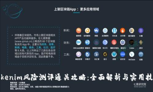 Tokenim风险测评通关攻略：全面解析与实用技巧