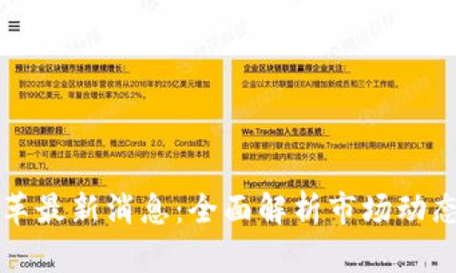 区块链币改革最新消息：全面解析市场动态与发展趋势