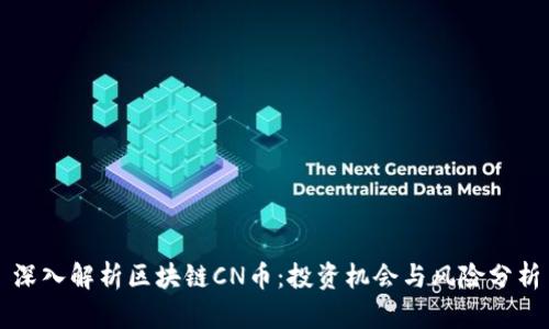 深入解析区块链CN币：投资机会与风险分析