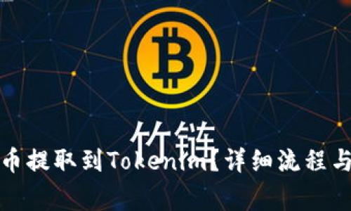 如何将屎币提取到Tokenim？详细流程与注意事项