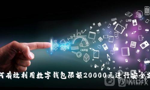 如何有效利用数字钱包限额20000元进行安全支付