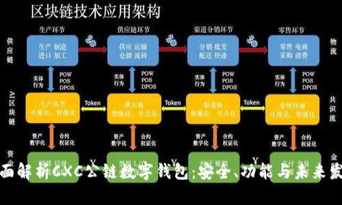 全面解析CXC公链数字钱包：安全、功能与未来发展