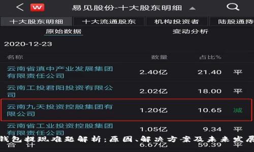 数字钱包提现难题解析：原因、解决方案及未来发展趋势