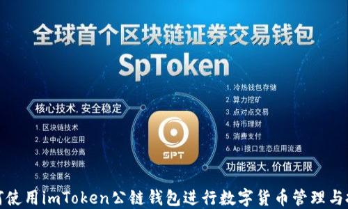 
如何使用imToken公链钱包进行数字货币管理与投资