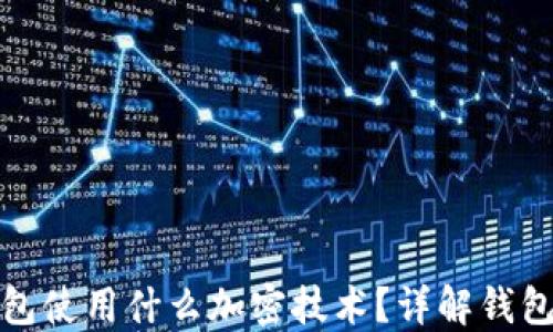 
比特币钱包使用什么加密技术？详解钱包保护机制