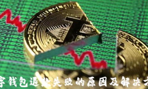
数字钱包退款失败的原因及解决方案
