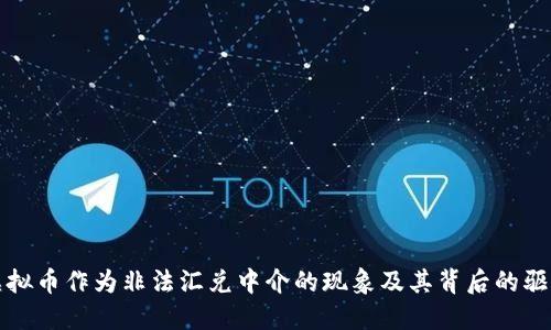 探索虚拟币作为非法汇兑中介的现象及其背后的驱动因素