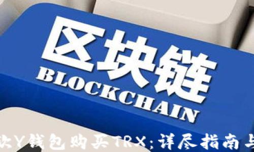 
如何通过欧Y钱包购买TRX：详尽指南与操作步骤