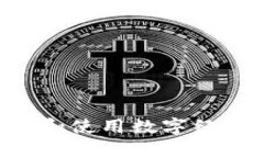 如何有效地打开和使用数字经济钱包：全面指南