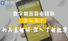 区块链与比特币的关系解析：深入了解数字货币