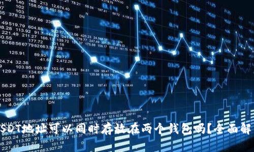 USDT地址可以同时存放在两个钱包吗？全面解析